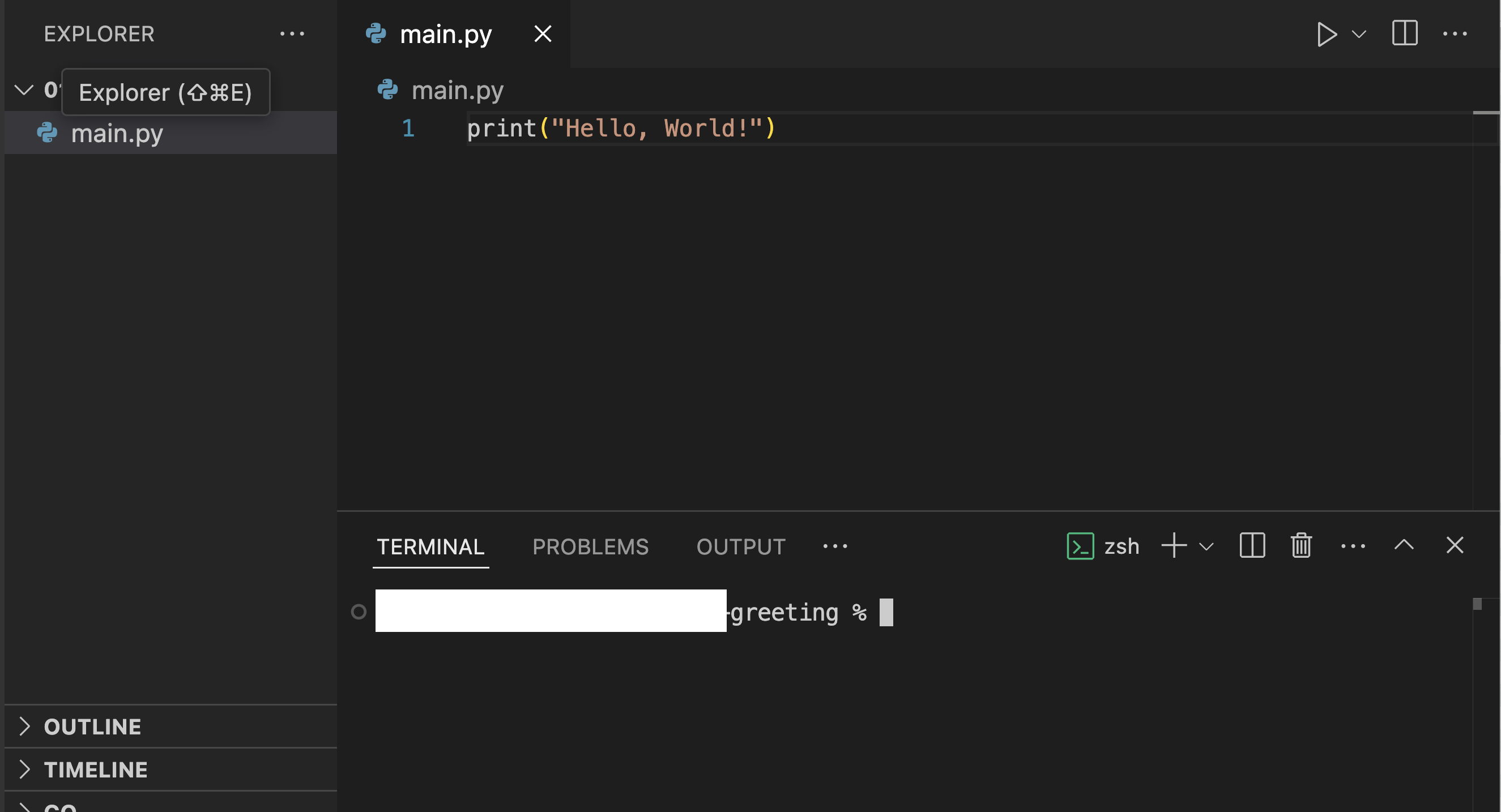 VS Code preview with terminal